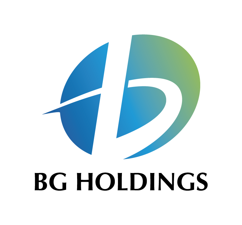 合同会社BGホールディングス
